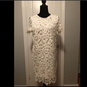 Like New White Lace ZARA TRF Dress